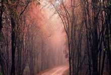 WPS表格公式编号怎么设置和使用?