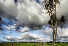 WPS会员怎么开通?费用是多少?有哪些特权?