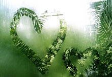 如何免费获取并使用WPS模板？