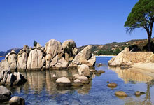 WPS宏风格有哪些类型及如何设置?