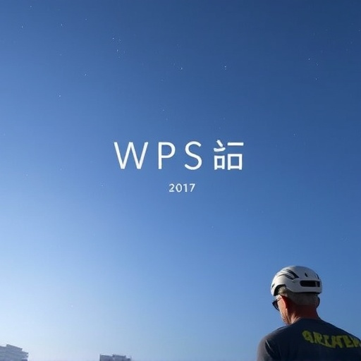 WPS企业版有哪些功能、安装方法及支持系统?