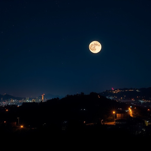 WPS宏分支怎么创建和使用?有哪些常见场景?