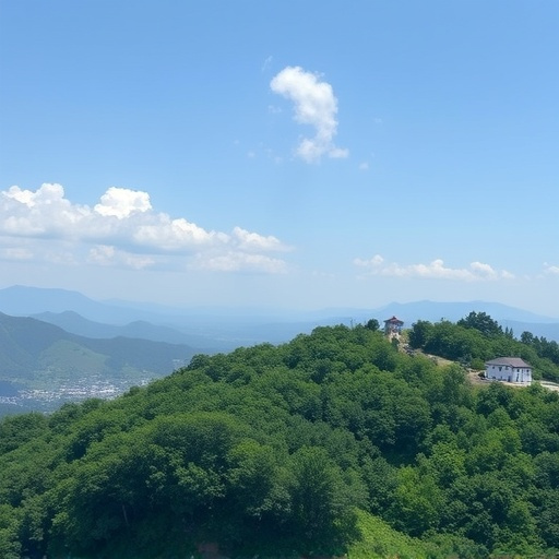 WPS宏如何有效提升逻辑思维能力?